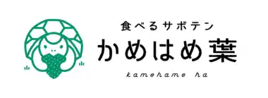かめはめ葉